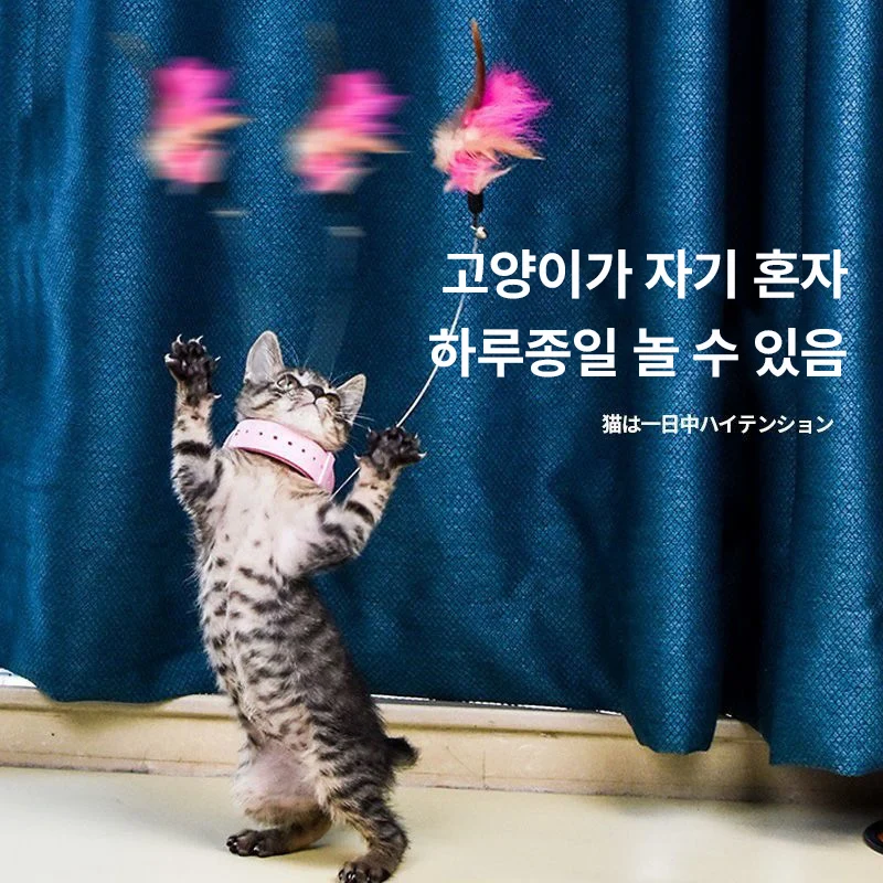 목걸이형고양이스틱