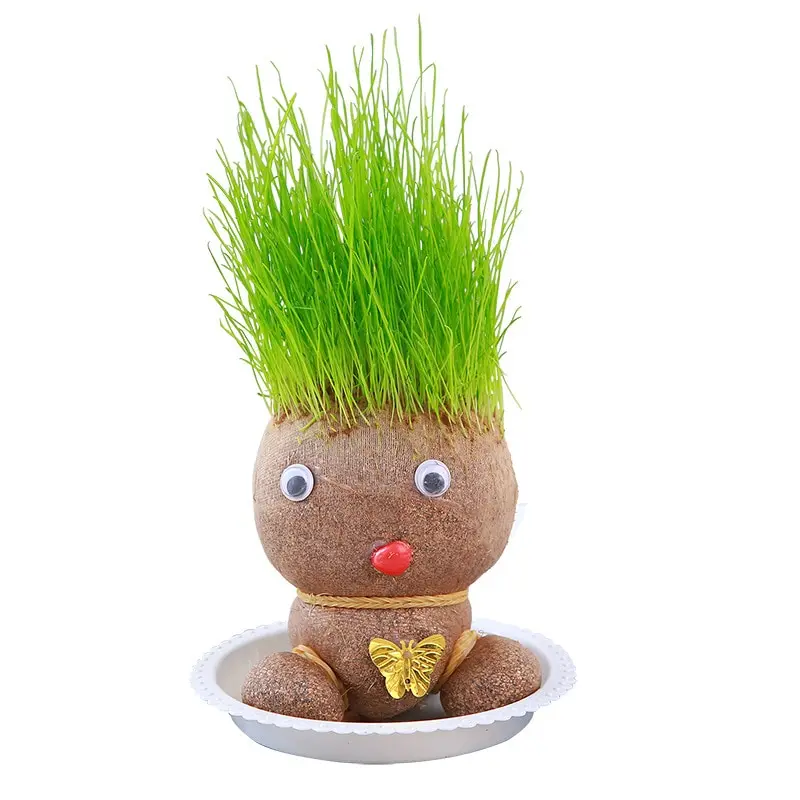 홈 데코 침실 장식 작은 성장 잔디 머리 인형 식물, 아름다운 어린이 선물, 실내 발코니 화분 파종기
